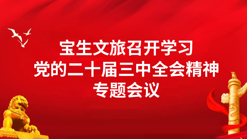 寶生文旅召開學習黨的二十屆三中全會精神專題會議